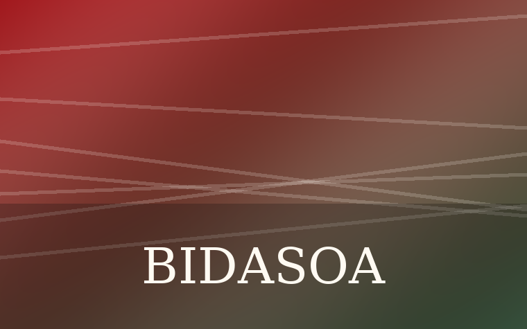 Imagen territorial para Bidasoa
