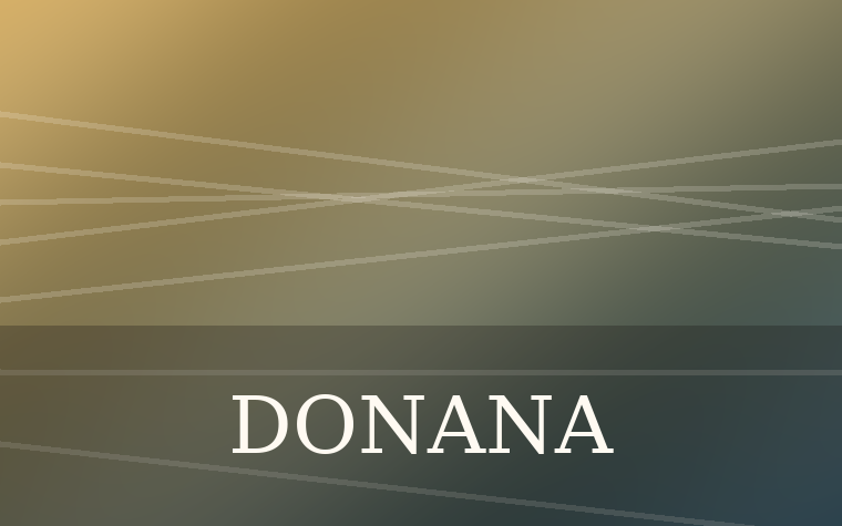 Imagen territorial para Doñana